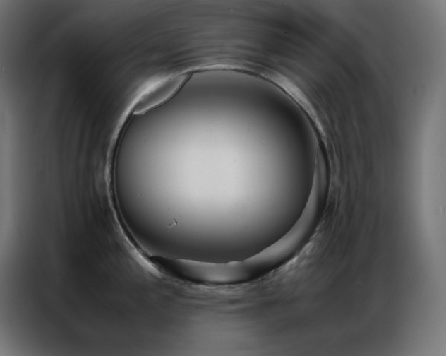 X0000086921197200704161356
