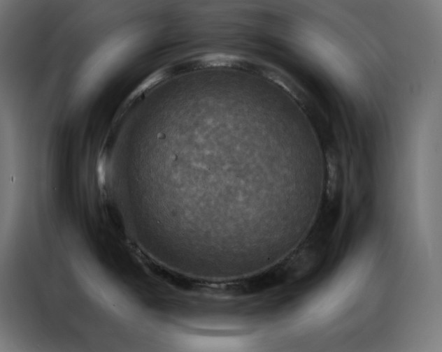 X0000086921198200704161356