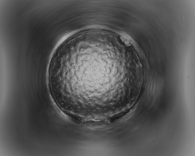 X0000086921199200704161356