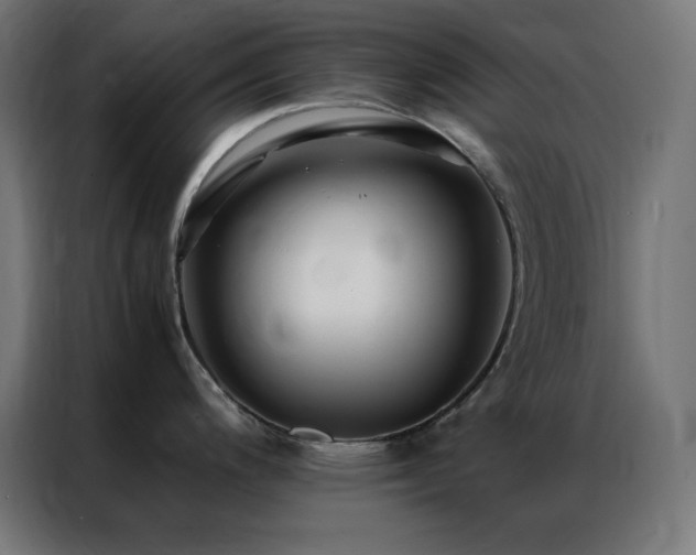 X0000086921200200704161356