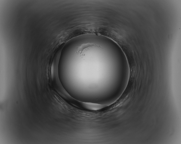 X0000086921202200704161355