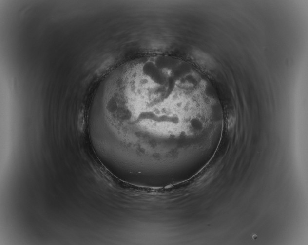 X0000086921204200704161355
