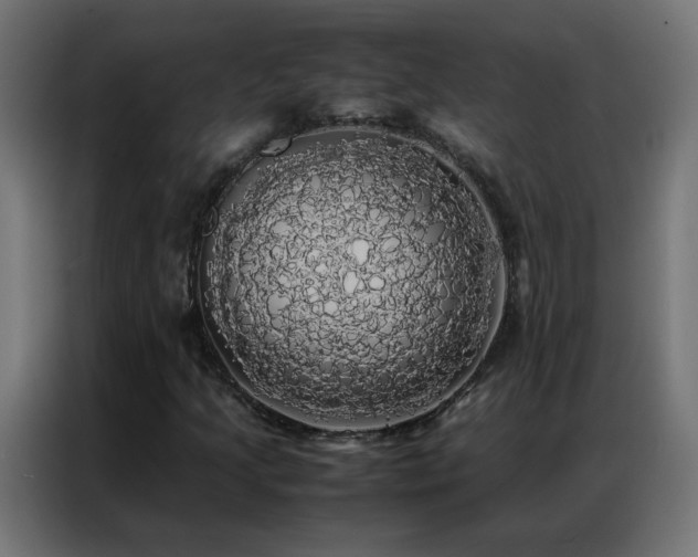 X0000086921205200704161355