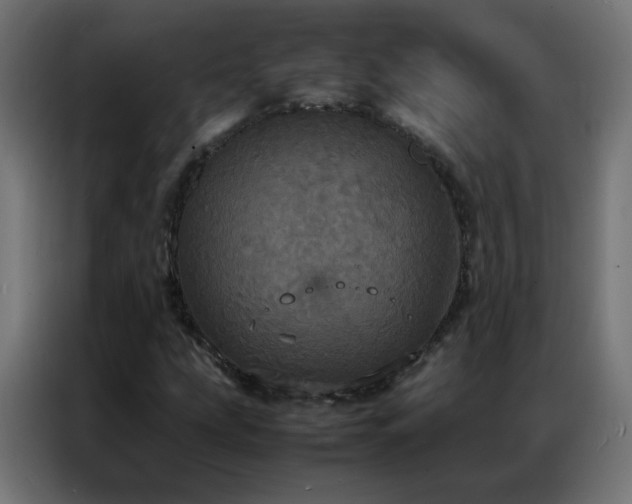 X0000086921207200704161355