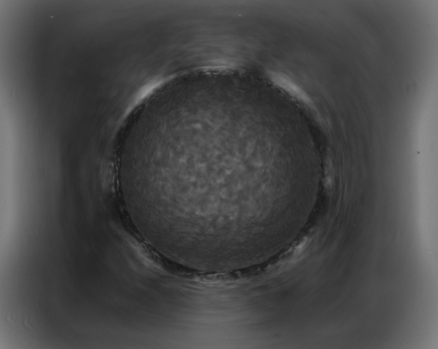 X0000086921208200704161355