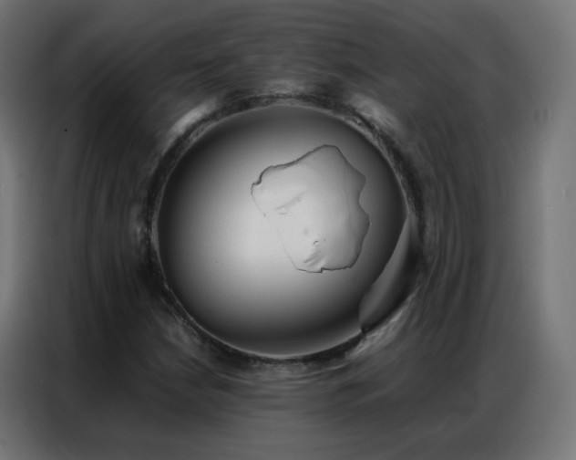 X0000086921210200704161355