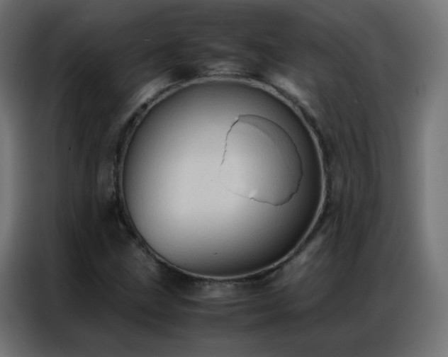 X0000086921211200704161355