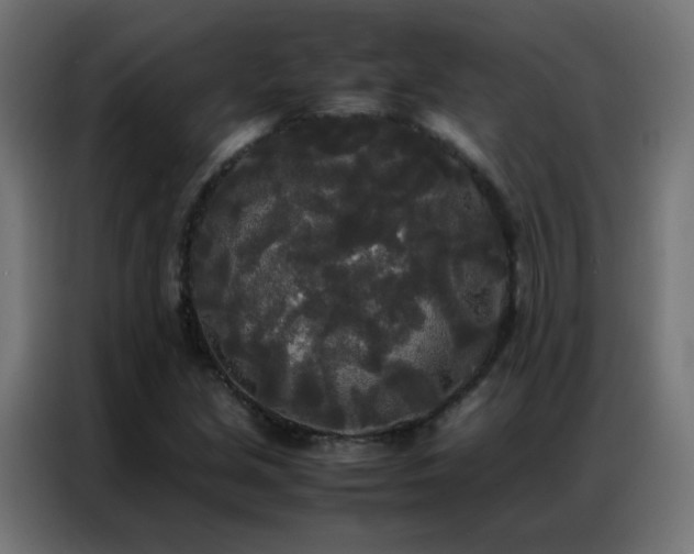 X0000086921213200704161355