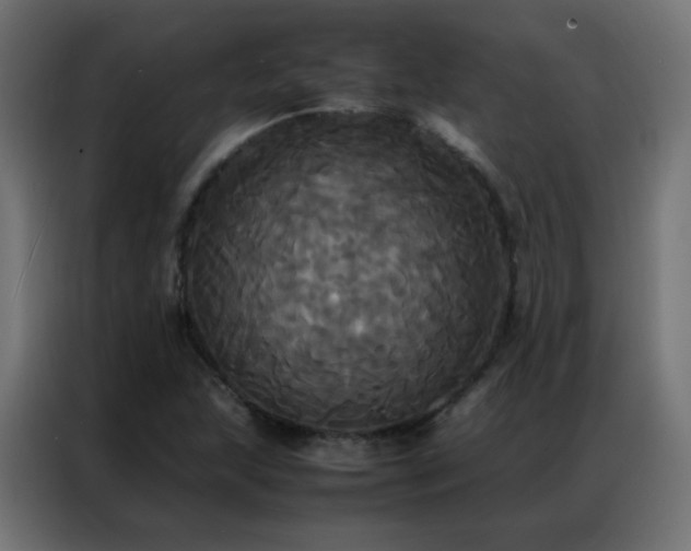 X0000086921215200704161355