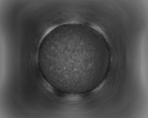 X0000086921216200704161355