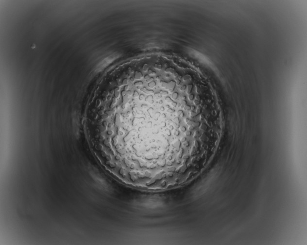X0000086921217200704161355