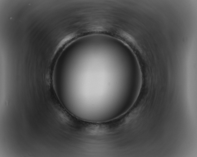 X0000086921218200704161355