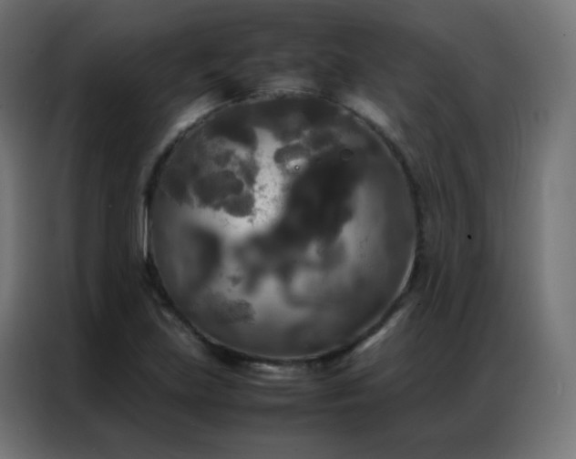 X0000086921219200704161355