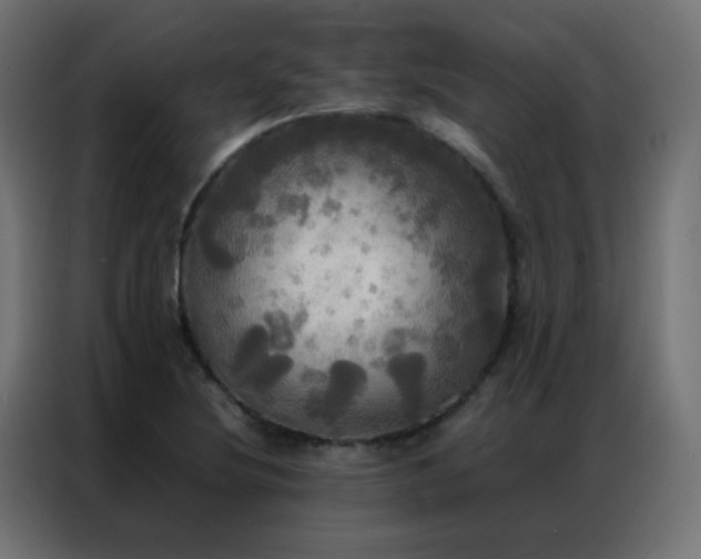 X0000086921220200704161355