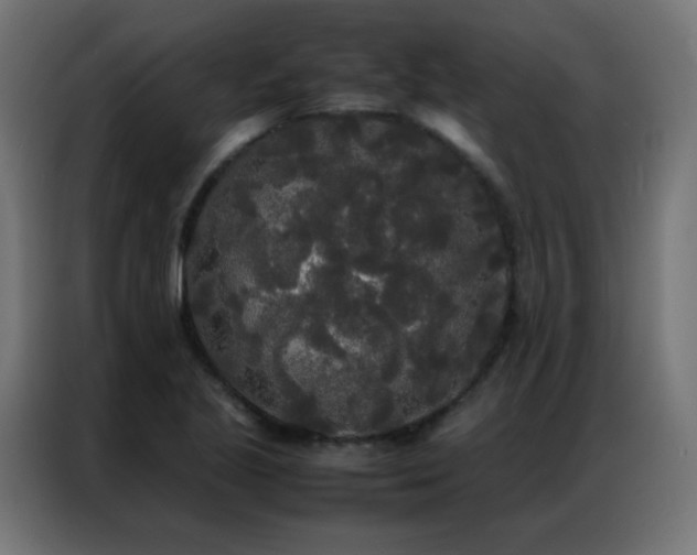 X0000086921221200704161355