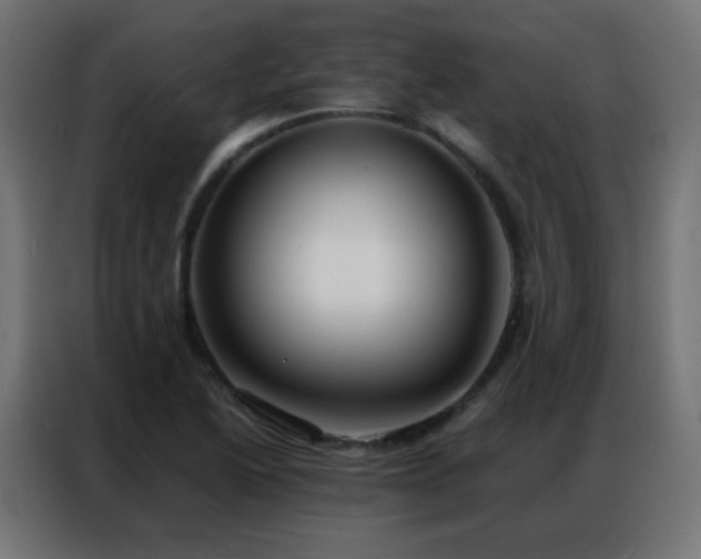 X0000086921222200704161355