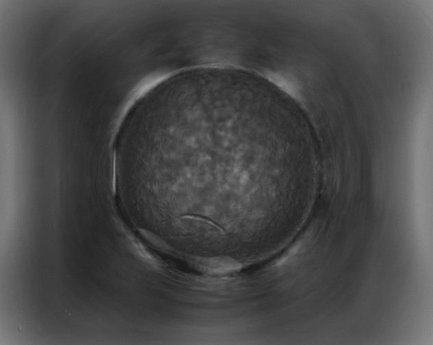 X0000086921223200704161355