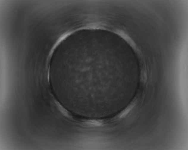 X0000086921224200704161355