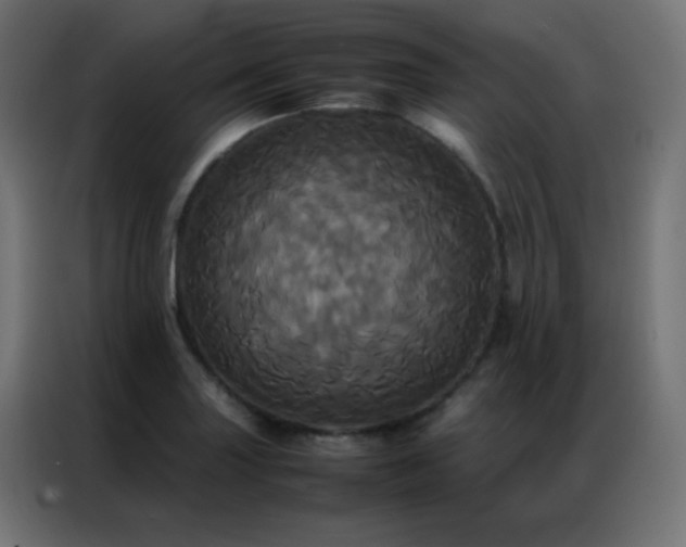 X0000086921227200704161356