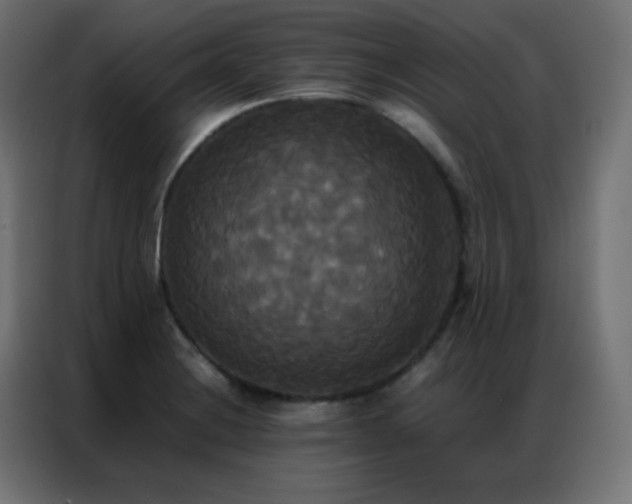 X0000086921228200704161356