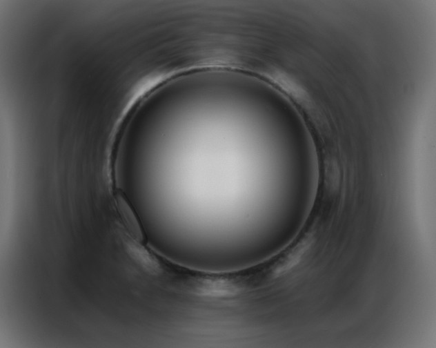 X0000086921230200704161356