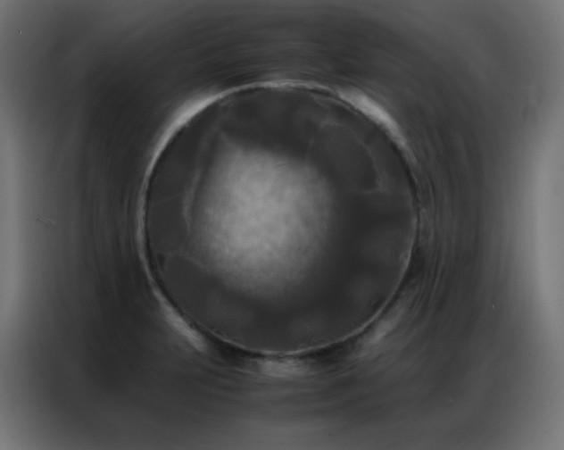 X0000086921231200704161356