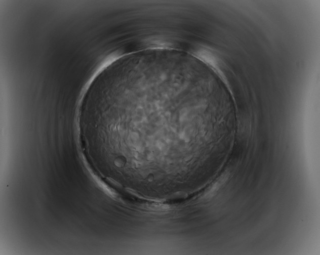 X0000086921235200704161356