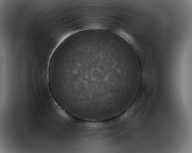 X0000086921236200704161356