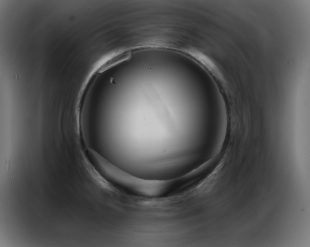 X0000086921238200704161356