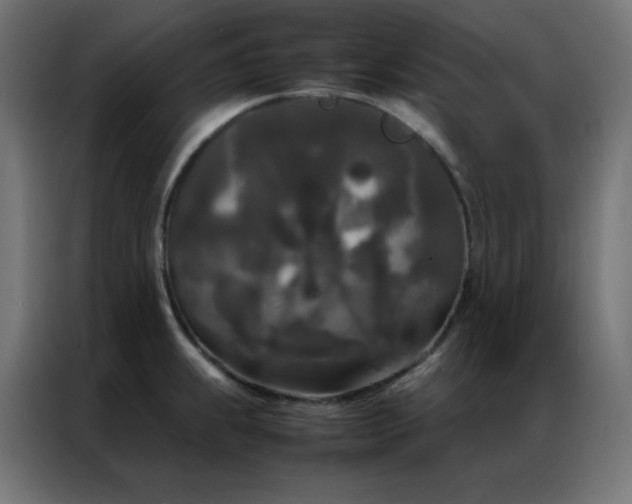 X0000086921239200704161356