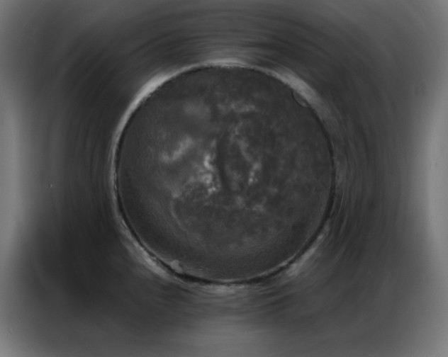 X0000086921240200704161356