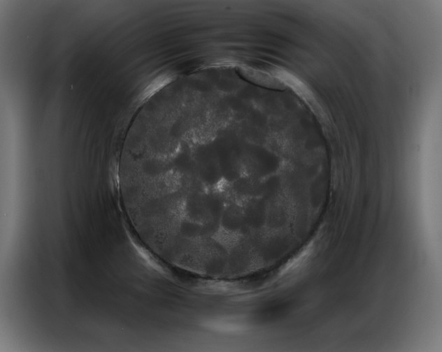 X0000086921241200704161356