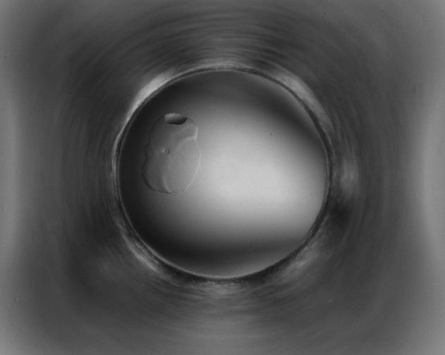 X0000086921242200704161356