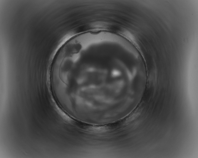 X0000086921243200704161356