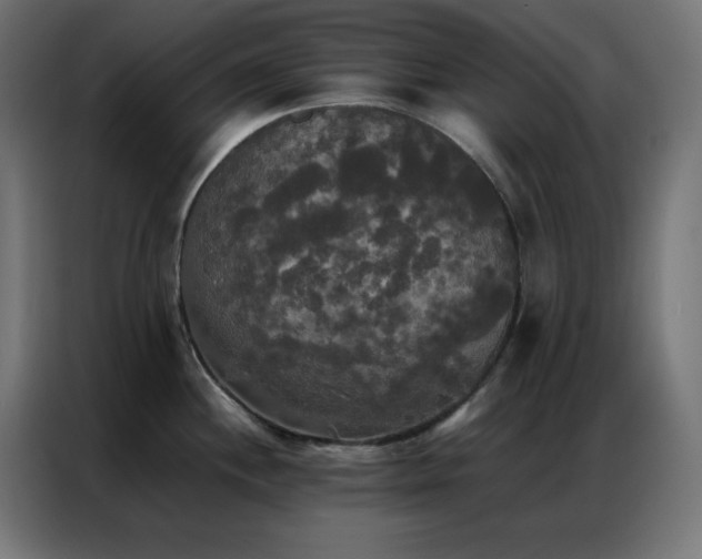 X0000086921244200704161356