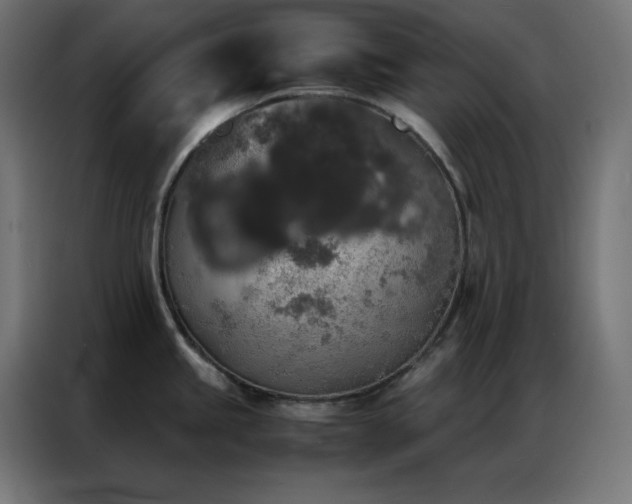 X0000086921245200704161356