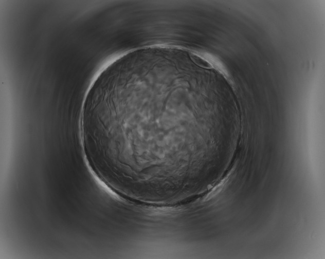 X0000086921247200704161356