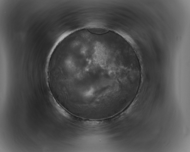 X0000086921248200704161356