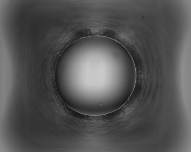 X0000086921249200704161355