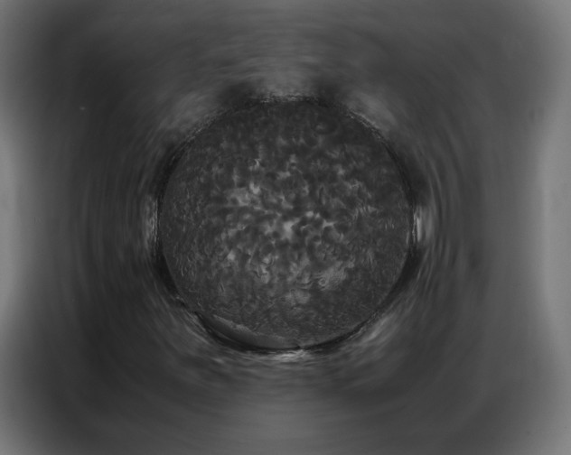 X0000086921251200704161355