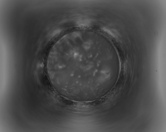 X0000086921254200704161355