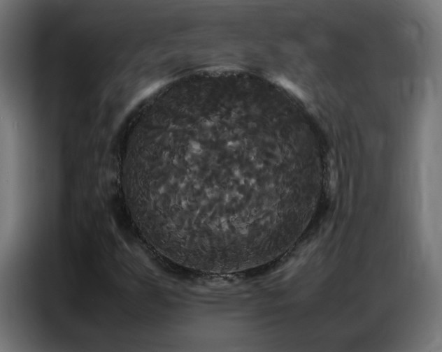 X0000086921255200704161355