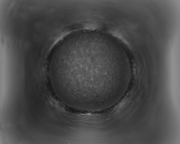 X0000086921256200704161355