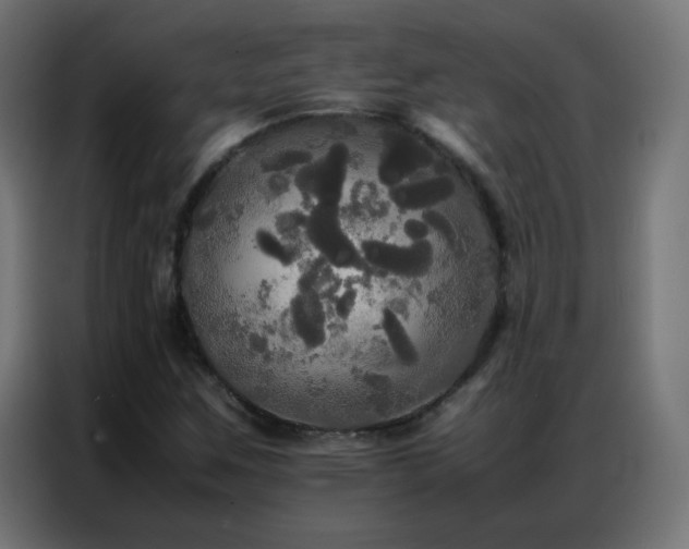 X0000086921259200704161355