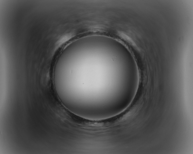 X0000086921261200704161355