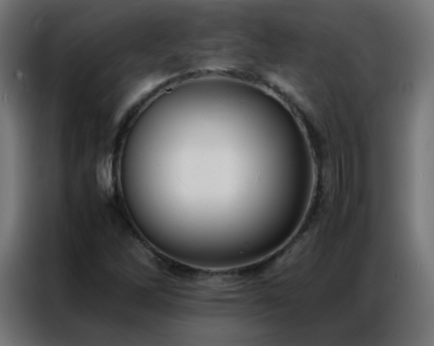 X0000086921262200704161355