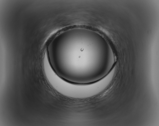 X0000086921263200704161355