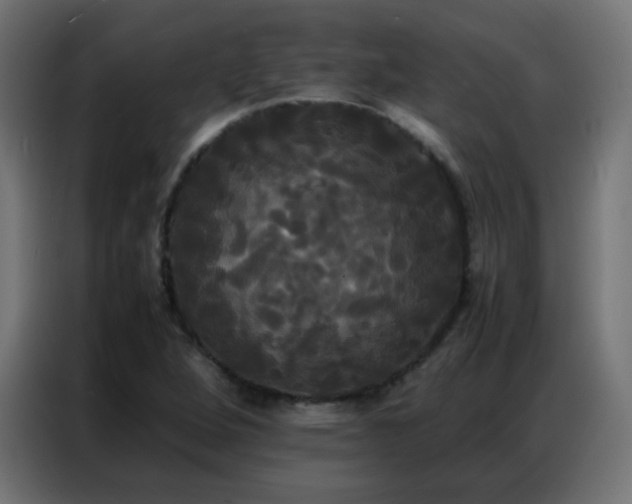 X0000086921264200704161355