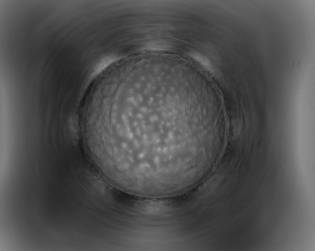 X0000086921266200704161355