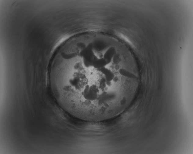 X0000086921267200704161355